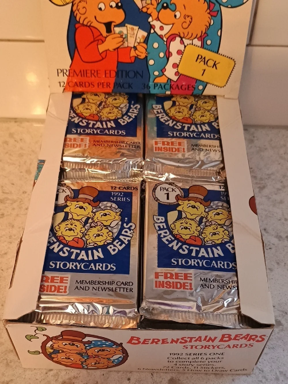 Berenstain Bears vintage berenstain